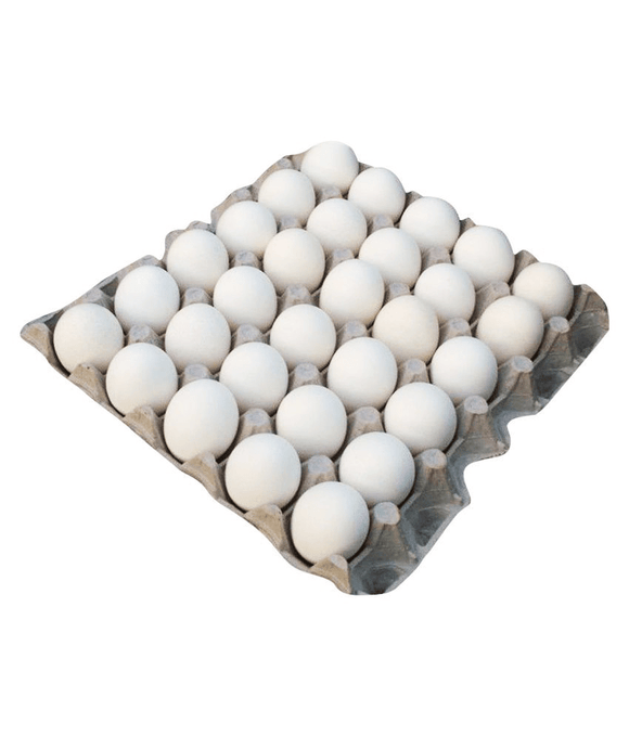 White Egg - Da Red Drop Shop (DRDS) | Online Palengke