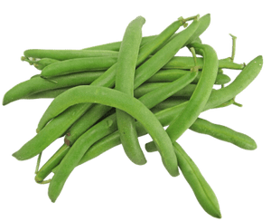 Baguio Beans - Da Red Drop Shop (DRDS) | Online Palengke