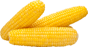 Corn - Da Red Drop Shop (DRDS) | Online Palengke