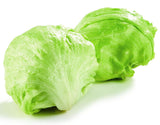 Lettuce - Da Red Drop Shop (DRDS) | Online Palengke